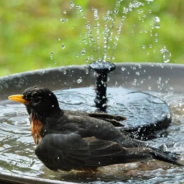 🎁HOT SALE 49% OFF 🎁Solar Powered Fountain