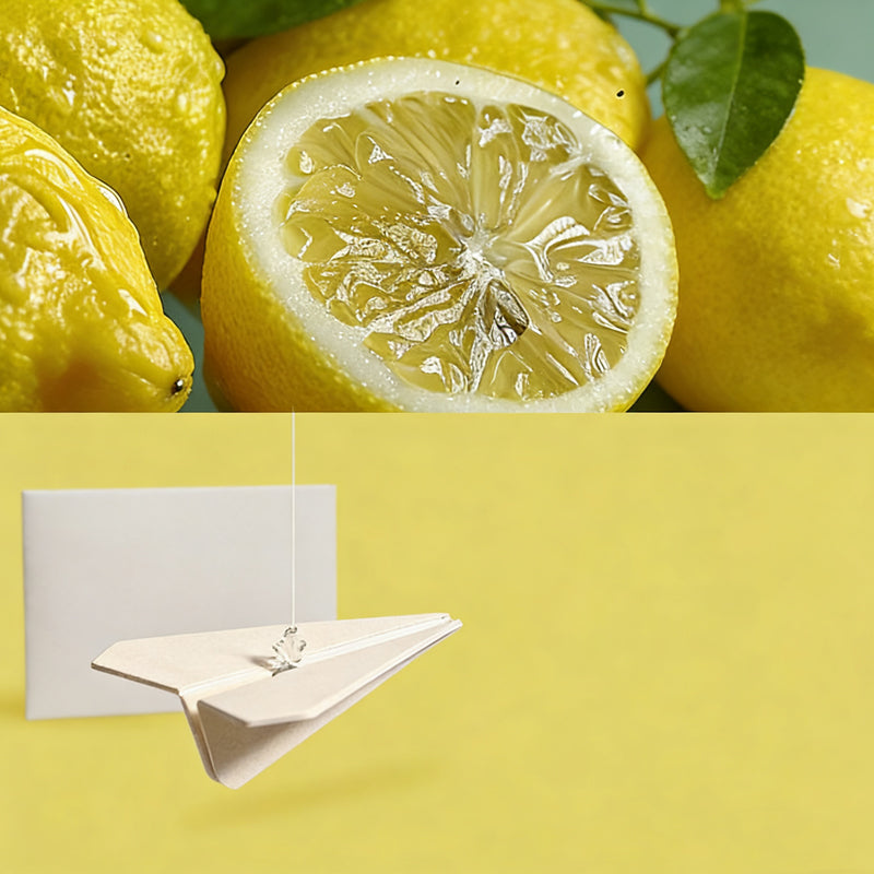 Paper Airplane Hanging Car Air Freshener