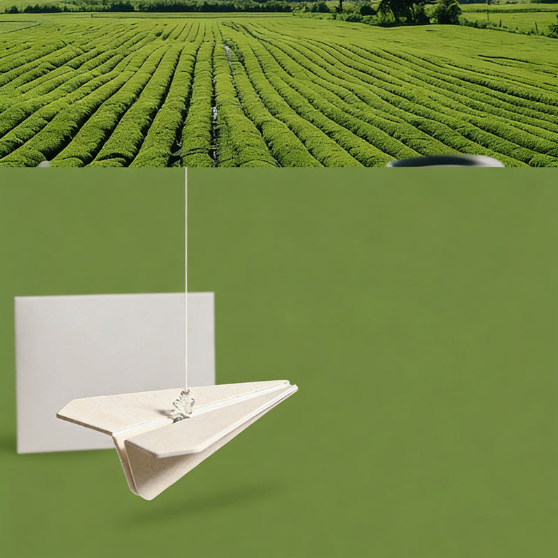 Paper Airplane Hanging Car Air Freshener