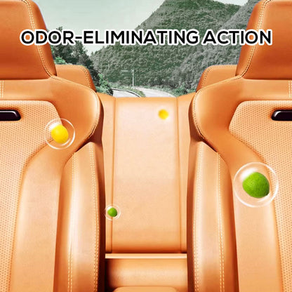 Car Interior Foam Cleaning Spray