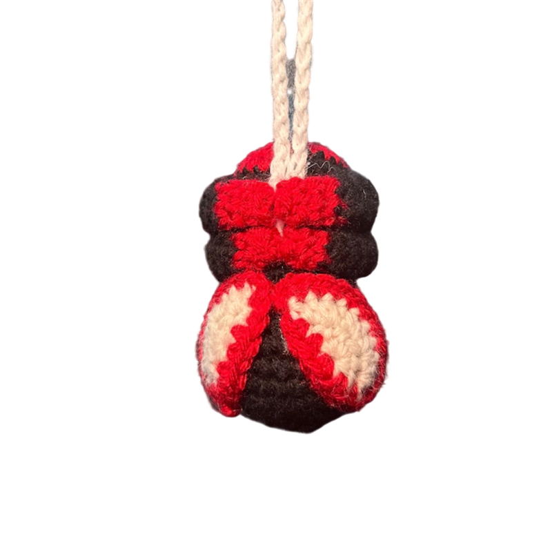 Crochet Spider Car Hanger Ornament