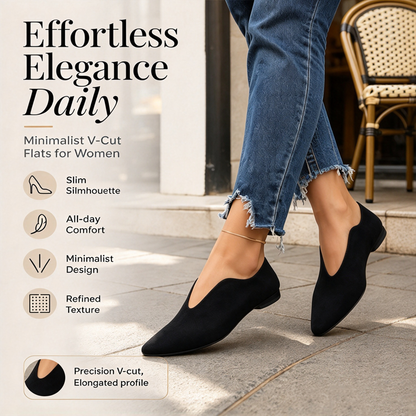 Women's Chic Pointed Toe V-Cut Flat Shoes